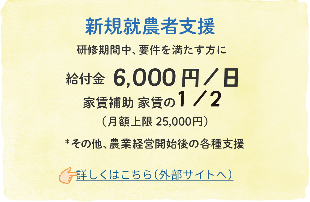 新規就農者支援