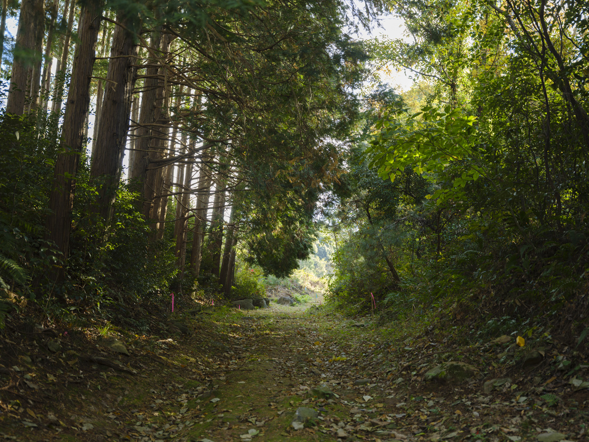 旧長崎街道 鈴田峠