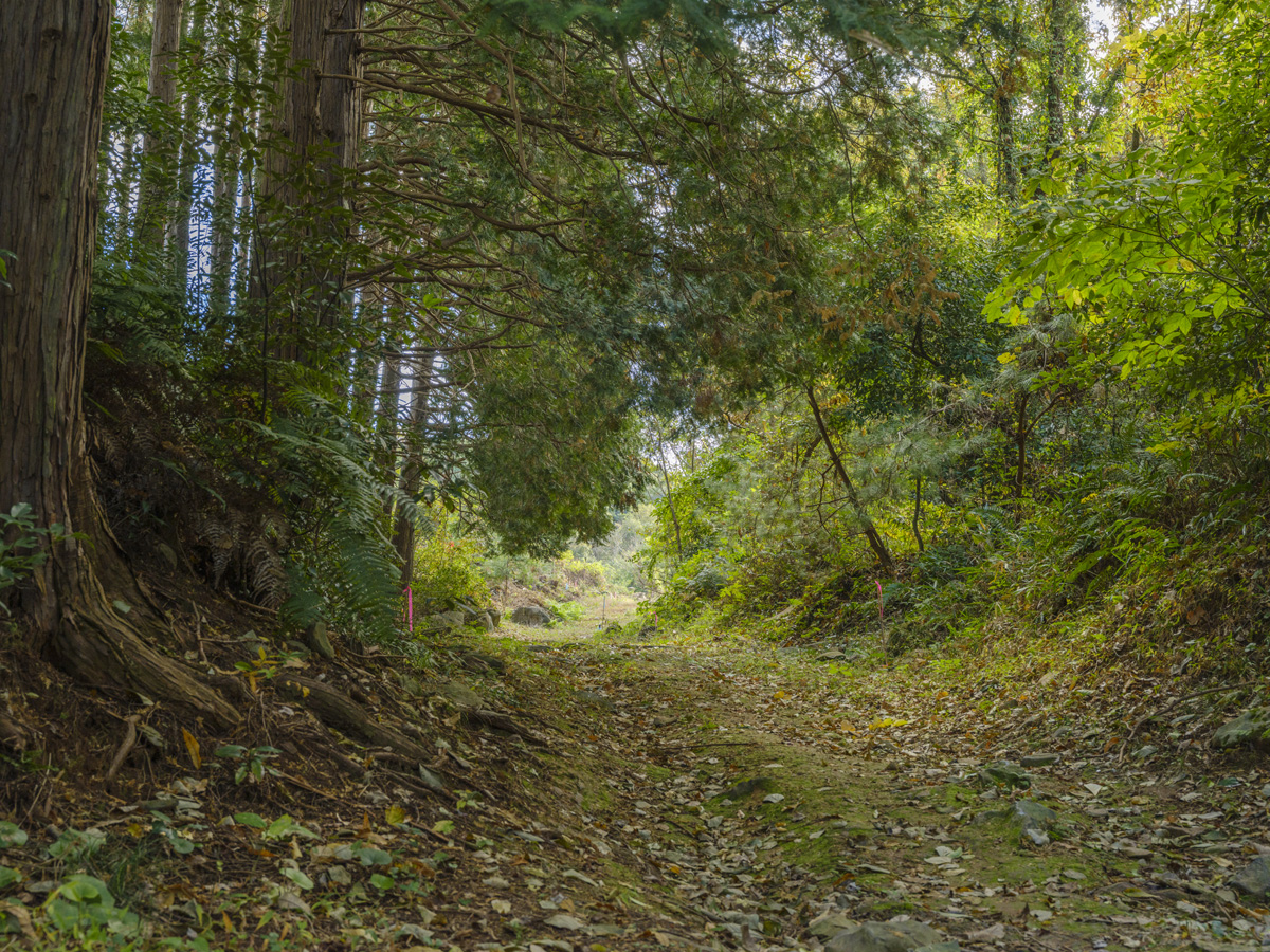 旧長崎街道 鈴田峠
