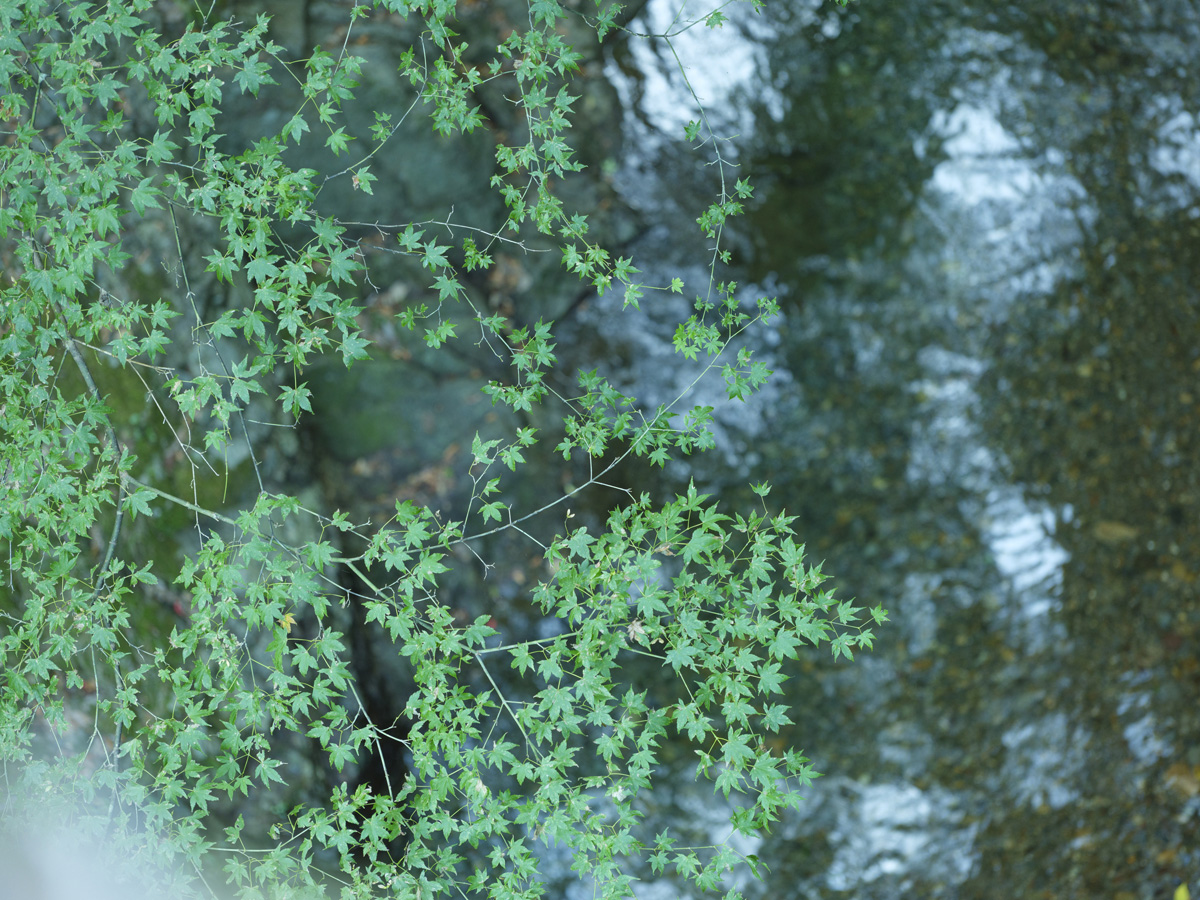 黒木渓谷・郡川砂防公園