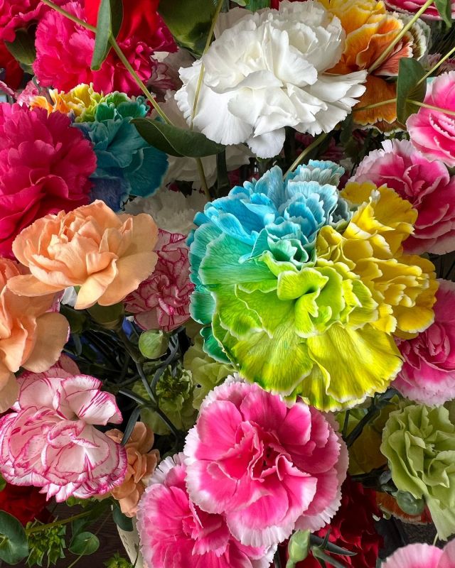 5月といえば #母の日。
#カーネーション だな。

#長崎県 #大村市  #omura #移住 #定住 #だいすきおおむら
#おおむら暮らし #おおむらくらしのおおくらさん #パパ #感謝 #市役所で撮影
#大村産カーネーション #レインボー #carnation #dianthuscaryophyllus
#rainbow
---------------------------------------------------

おおむらくらし

〜小さな暮らし、大きな幸せ。〜

わたしたち、おおくら家の４人が暮らす
#大村市 があるのは #長崎県 のほぼ真ん中。

毎日のお買い物に便利なスーパーも多いし、
子どもたちがのんびり遊べる #公園 もいっぱい。
きれいな #図書館 に、出張に便利な #空港 もすぐ近く。
暮らしに必要なものがコンパクトにそろっているんです。

海にも山にもすぐに行けちゃう絶妙なキョリ感も、
#アウトドア 好きのパパにはたまらないみたい。

そうそう、食べ物もおいしいんだよね。
魚は新鮮だし、野菜たちもみずみずしく輝いて。
それがスーパーで手軽に買えちゃうなんて
食いしん坊のわが家にはもう最高すぎ！

こんな小さな幸せが積み重なっていけば、
いつか大きな幸せを連れてきてくれるはず。

#自然 のままに、おおらかに。

そんなわたしたちの日常をお届けします。

More photos @omura_gurashi 

#大村市役所　#地方創生課

〒856-8686
長崎県大村市玖島1丁目25番地（本館2階）
TEL：0957-53-4111
FAX：0957-54-0300
MAIL：sousei@city.omura.nagasaki.jp
内線：地方創生推進室（286）

------------------------------------------------
