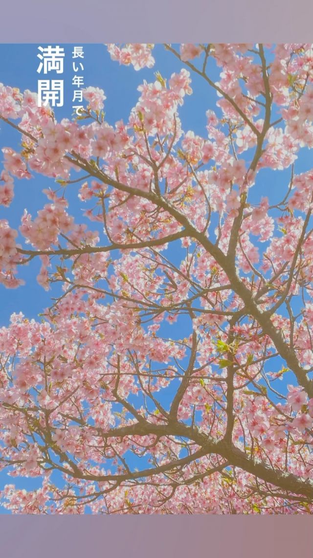 便利な時代。アプリがスマホの中の写真を使って動画にしてくれました🌸
大村の桜が満開の頃に娘の#さくら が生まれたので、
この季節は私にとっても特別です🌸🌸🌸

大村の桜ももうすぐ。
今年も楽しみですね。

#長崎県 #大村市 #omura #移住 #定住 #だいすきおおむら
#おおむら暮らし #おおむらくらしのおおくらさん #ママ
#春 #大村が#ピンクに染まる季節 #桜 
—————————————————

おおむらくらし

〜小さな暮らし、大きな幸せ。〜

わたしたち、おおくら家の４人が暮らす
#大村市 があるのは #長崎県 のほぼ真ん中。

毎日のお買い物に便利なスーパーも多いし、
子どもたちがのんびり遊べる #公園 もいっぱい。
きれいな #図書館 に、出張に便利な #空港 もすぐ近く。
暮らしに必要なものがコンパクトにそろっているんです。

海にも山にもすぐに行けちゃう絶妙なキョリ感も、
#アウトドア 好きのパパにはたまらないみたい。

そうそう、食べ物もおいしいんだよね。
魚は新鮮だし、野菜たちもみずみずしく輝いて。
それがスーパーで手軽に買えちゃうなんて
食いしん坊のわが家にはもう最高すぎ！

こんな小さな幸せが積み重なっていけば、
いつか大きな幸せを連れてきてくれるはず。

#自然 のままに、おおらかに。

そんなわたしたちの日常をお届けします。

More photos @omura_gurashi

#大村市役所　#地方創生課

〒856-8686
長崎県大村市玖島1丁目25番地（本館2階）
TEL：0957-53-4111
FAX：0957-54-0300
MAIL：sousei@city.omura.nagasaki.jp
内線：地方創生推進室（286）

————————————————